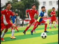 西班牙vs阿根廷直播_西班牙vs阿根廷实时高清观看_世界杯西班牙vs阿根廷今日比赛